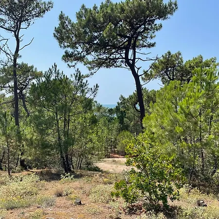 Maison Confortable A Pres Des Plages Avec Wifi Gratuit - Fr-1-823-100 * L'Epine (Vendee)